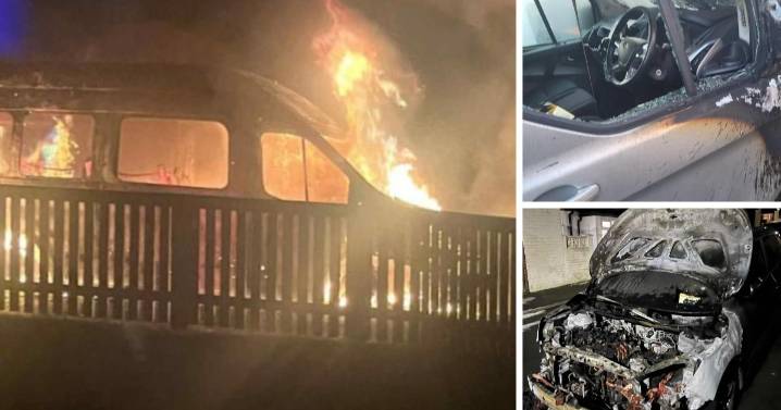 Homes in Seaham damaged after suspected arson attack