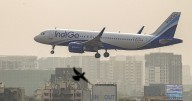 DGCA cuts IndiGo's flight schedule by 5% across sectors