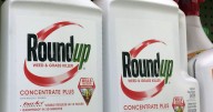 Study that said glyphosate herbicide is safe retracted 25 years after publication