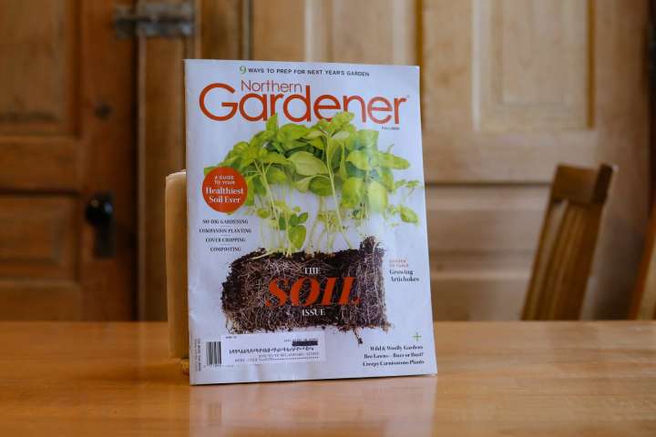 Gift ideas for the hard-to