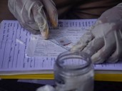 OMS reporta aumento en casos y muertes por malaria