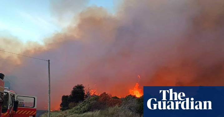 Parts of Australia hit by severe heatwave as temperatures pass 40C in NSW and Tasmanian bushfires threaten properties
