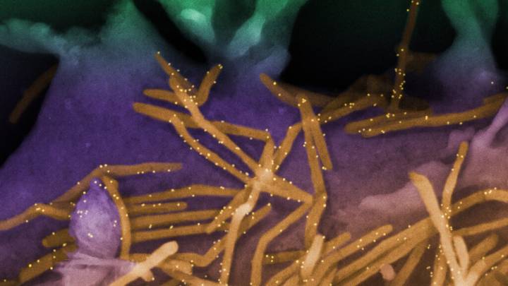 RSV shots, Pfizer's Yao pharma deal, Makary: Readout Newsletter