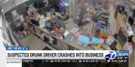 Suspected drunk driver crashes into Manatee County business