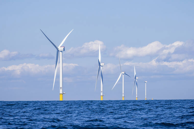 Federal judge finds Trump’s halt on wind energy is illegal