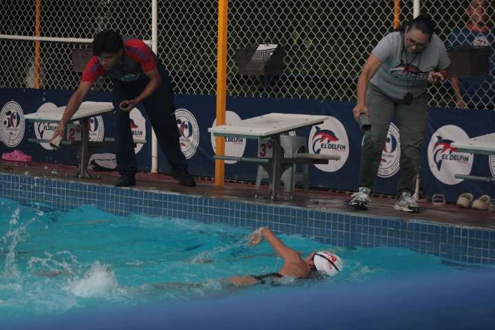 Delfines participaron en competencia virtual de Aguas Abiertas 2025