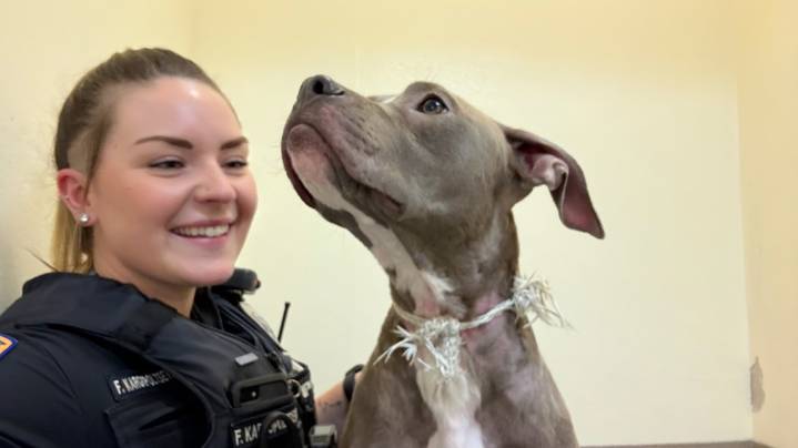 Dog found tied up, zipped into suitcase inside Everett dumpster