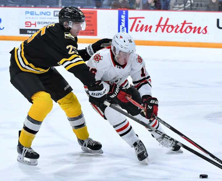 North Bay Battalion rebound with impressive road win versus Niagara IceDogs
