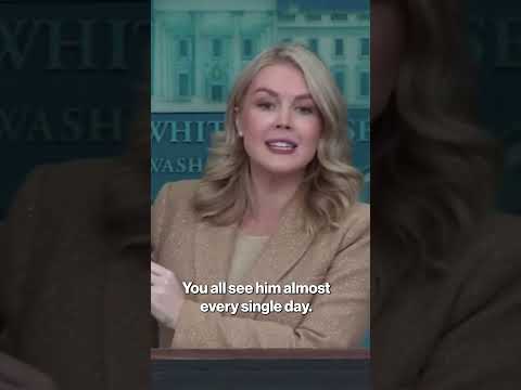 Leavitt Torches NYT Reporter as White House Unveils ‘Media Offender of the Week’ Website #shorts