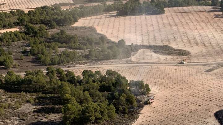 Apagan un conato de incendio forestal declarado junto a la loma de La Tella, en Jumilla