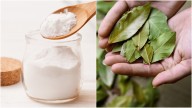 Hojas de laurel con bicarbonato: el nuevo truco casero para eliminar bacterias y hongos