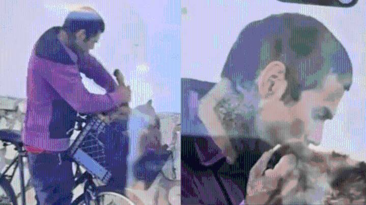 Man wanted for strangling and assaulting dog in Lynwood