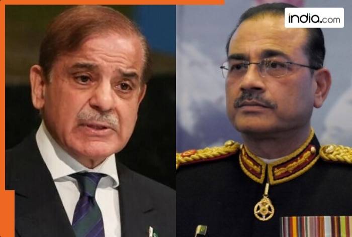 'Babri Masjid was a heritage site that...': Pakistan issues contentious statement