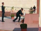 Remount and Veterinary Corps (RVC) celebrates 247th Corps Day