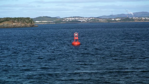 The buoys are coming back to Petty Harbour, and will be permanent fixture this spring