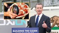 Newsom One-Ups NYC By Requiring Pizza Be Baked Using Sun And Magnifying Glass