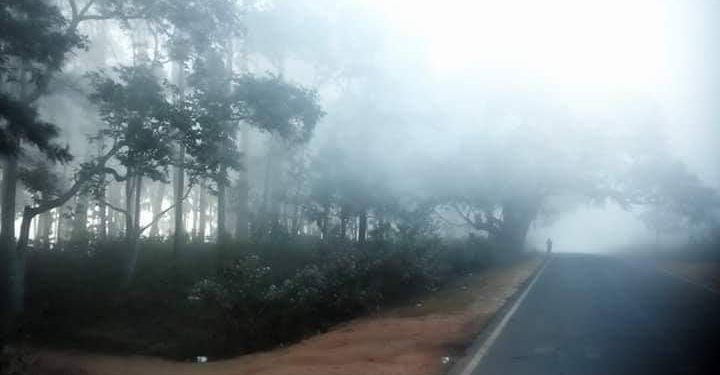 Odisha under intense cold wave, G Udayagiri records season’s lowest 3.1degrees C