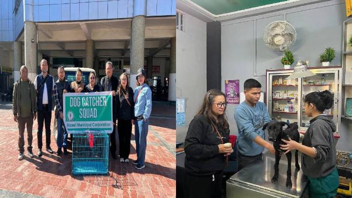 Aizawl Municipal Corporation, JB Foundation join hands to implement Supreme Court's orders on stray dog control