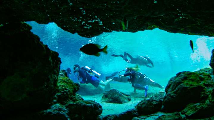 DeSantis awards $3.9M to Newberry, ACT for water restoration projects