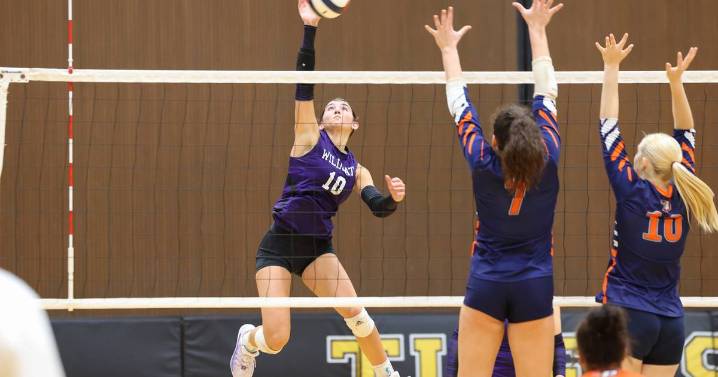 2025 Daily Journal Girls Volleyball All-Area Team – Shaw Local