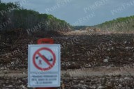 Juzgado Federal admite amparo de regularización de obras sin permiso ambiental en Quintana Roo