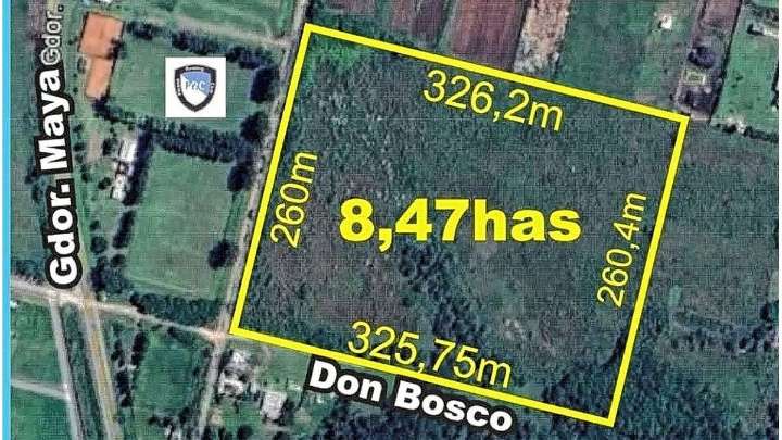 Rowing concretó la adquisición de casi 9 hectáreas para su expansión deportiva e institucional