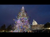 Happening Now: Johnson Hosts Annual Capitol Christmas Tree Lighting Ceremony