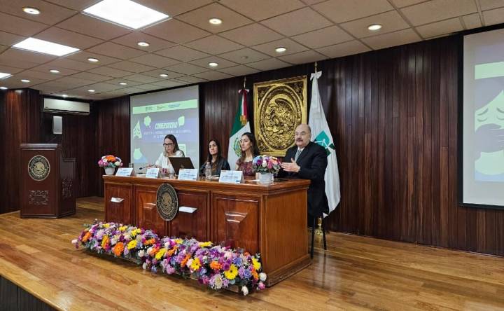 Tribunal Superior de Justicia de la DMX garantiza protección a mujeres víctimas de violencia: medidas operan 24/7 todo el año