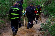 La brusca caída del precio del cerdo por la peste porcina africana pone en alerta al sector