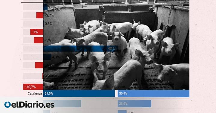 Radiografía del sector porcino: un negocio volcado en la exportación que vive pendiente de una peste casi olvidada