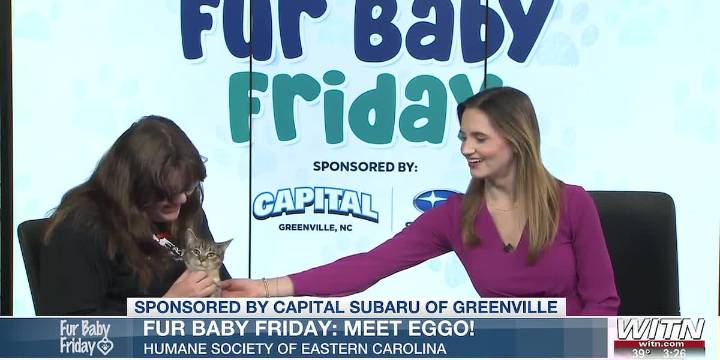 Fur Baby Friday: Meet Eggo!