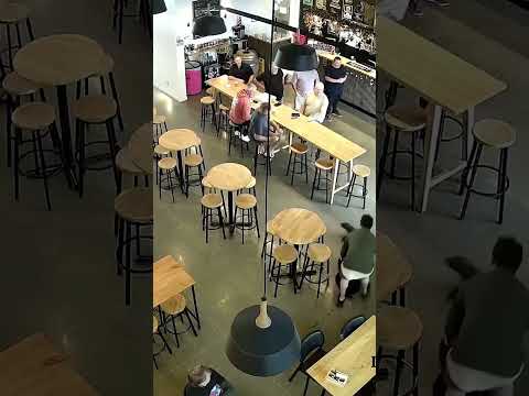 A Baby Fur Seal Galumphed Into a Bar. The Seal Has Been Released to a ‘Safe Location’