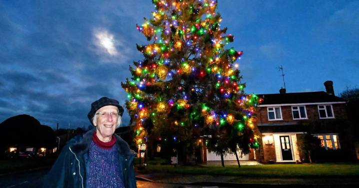 £6 Christmas tree planted by couple in 1979 stands 50ft tall