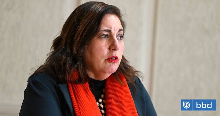 Vodanovic critica al PDG por llamado a votar blanco o nulo: "Lo correcto sería tomar una posición"