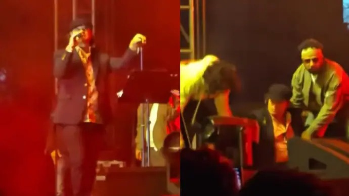 Singer Mohit Chauhan Falls On Stage Mid-Performance; Viral Video Sparks Concern Online