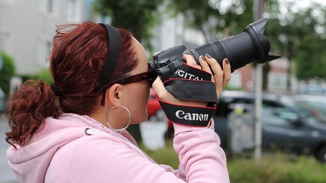 Tourists Shocked by Absence of Bonnets in Southern Manitoba