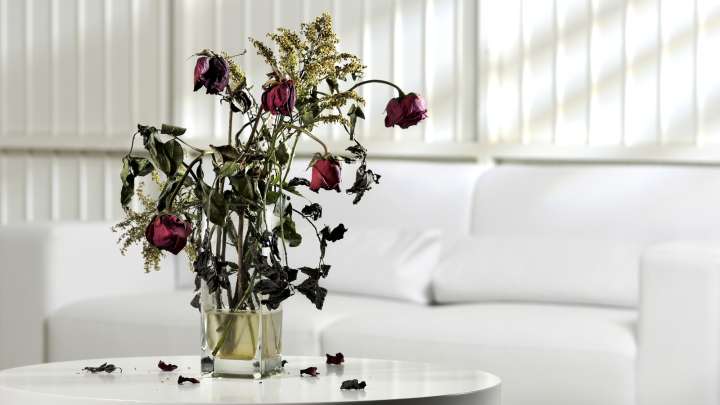 The Vase Placement Mistake That's Shortening The Life Of Your Cut Flowers