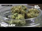 Massachusetts approves social consumption of marijuana in public spaces