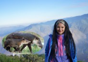 Estudiosa del tapir andino de Piura es finalista de concurso internacional
