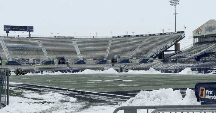 'It is unbelievable': How Yale alum, fans are gearing up for Bobcat