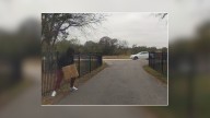 Package thief captured on Ring camera outside Salado, authorities ask for public's help