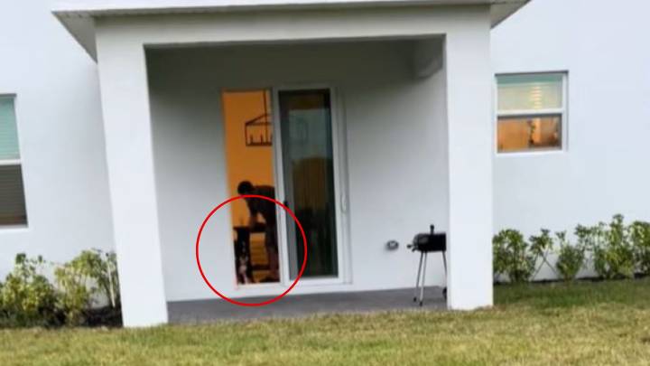 Florida Family’s New Home With A Yard Turns Into The Best Surprise For Their Four Dogs