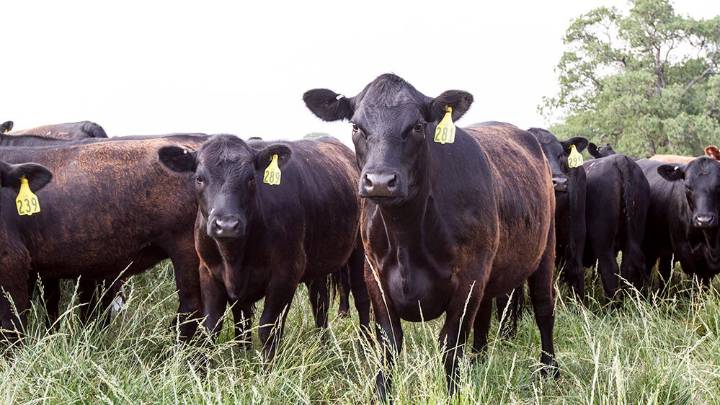 Forage Matters: About time