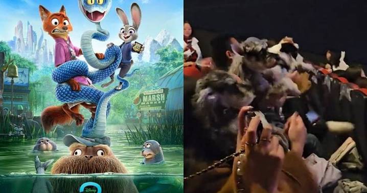 Los espectadores más tiernos en el cine