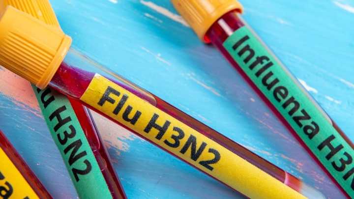 Gripe H3N2 variante K: mutación letal que provocaría otra pandemia