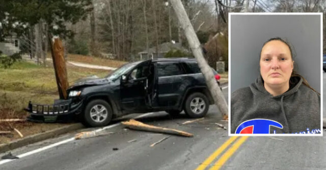 Grammy Nominated Musician Roderick MacLeod Killed By Driver with More than 100 Arrests