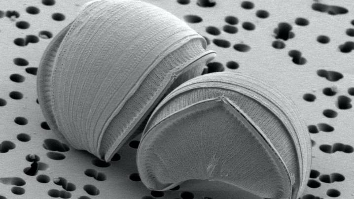 Ver lo que no se puede ver, en Alcobendas desde este sábado