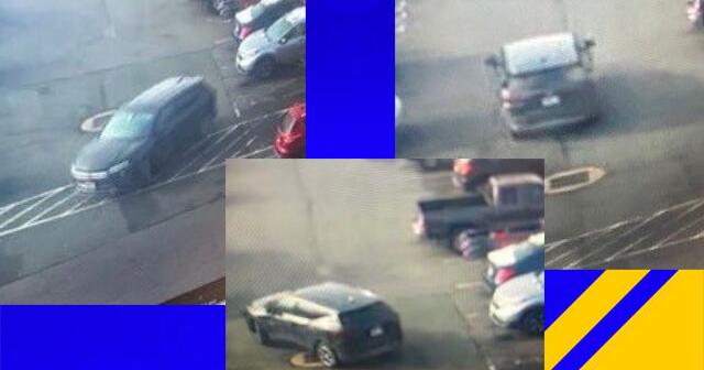 Seeking public assistance in fraud investigation