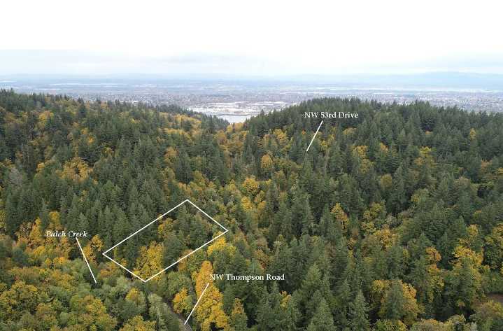 Land next to Portland's Forest Park will be auctioned for cash only