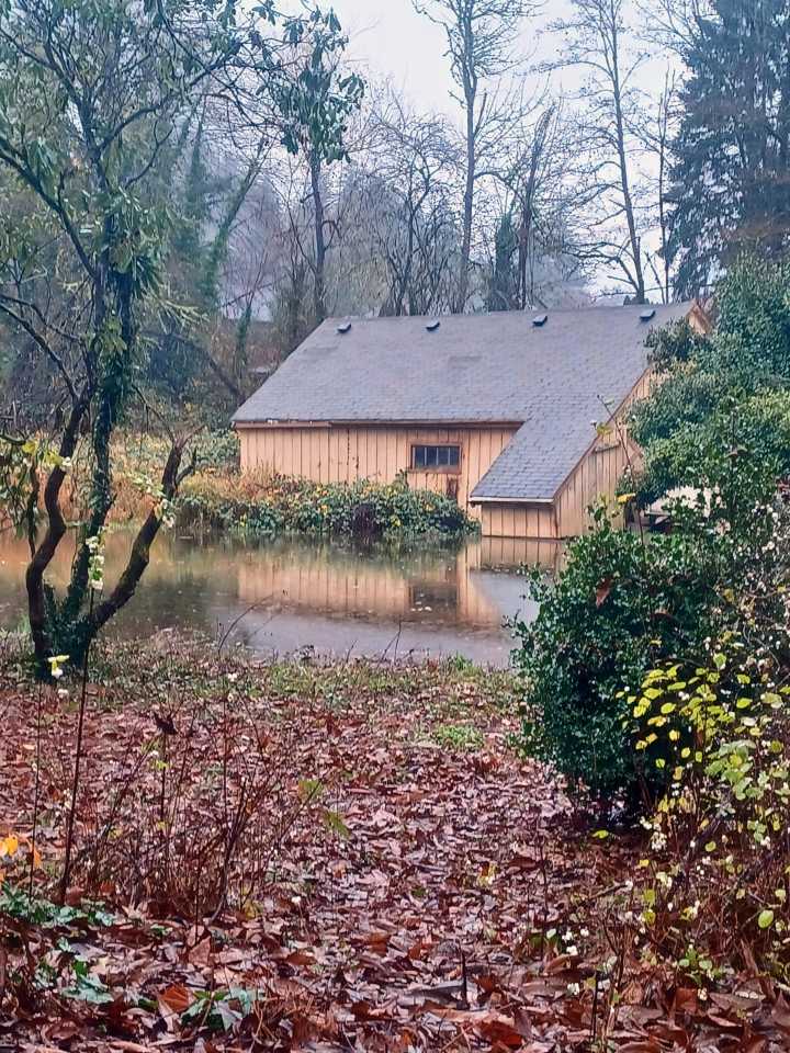 ‘Significant rain event’ floods Clark County roads, closes parks; flood watch in effect through Thursday afternoon Updated 19 mins ago